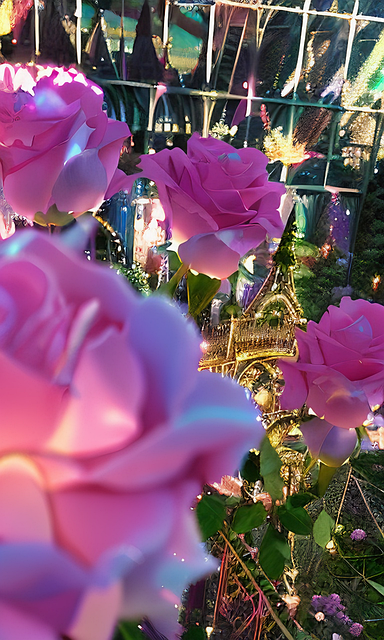 Free Flower Bloom illustration and picture