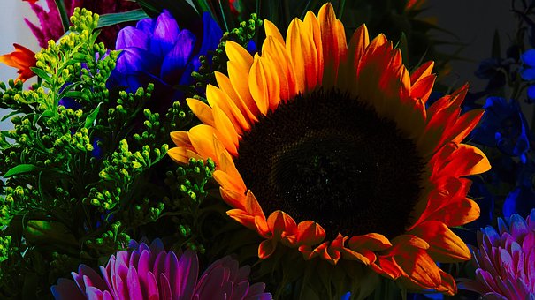 Free Bouquet Flowers photo and picture