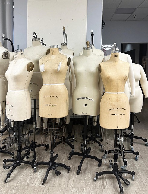 Free Mannequin Sewing photo and picture
