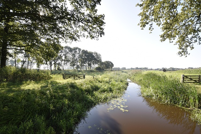 Diessen, Hilvarenbeek, Riesig, Natur
