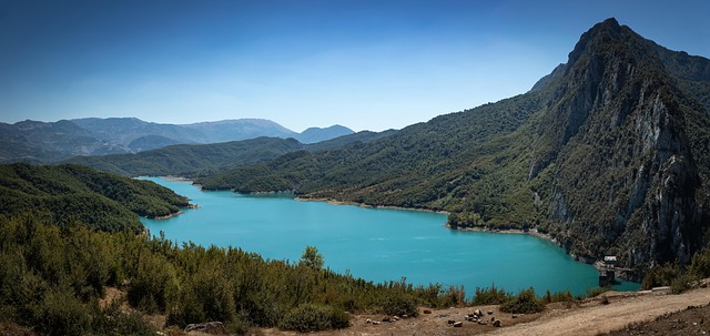 Free Lake Water photo and picture