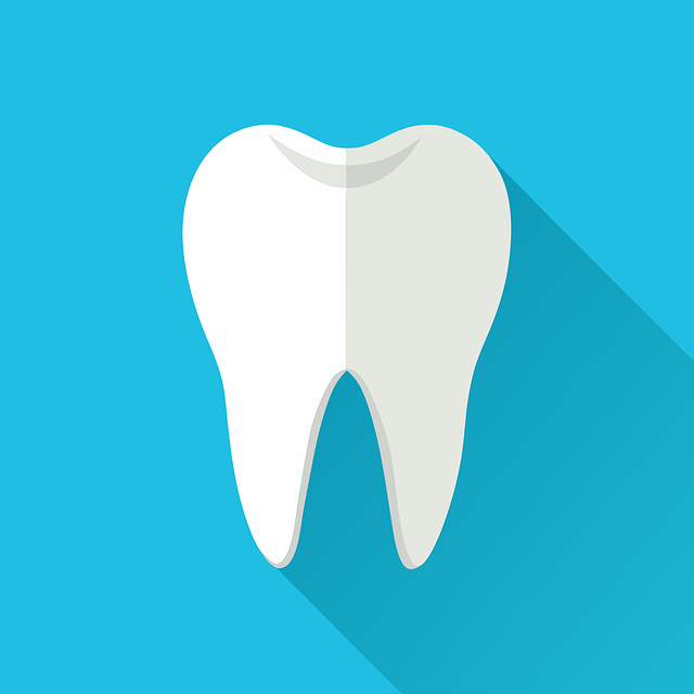 Free Ai Generated Tooth vector and picture