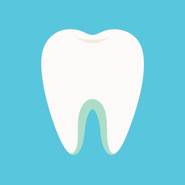 Free Ai Generated Tooth vector and picture