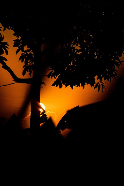 Free Rwanda Africa photo and picture