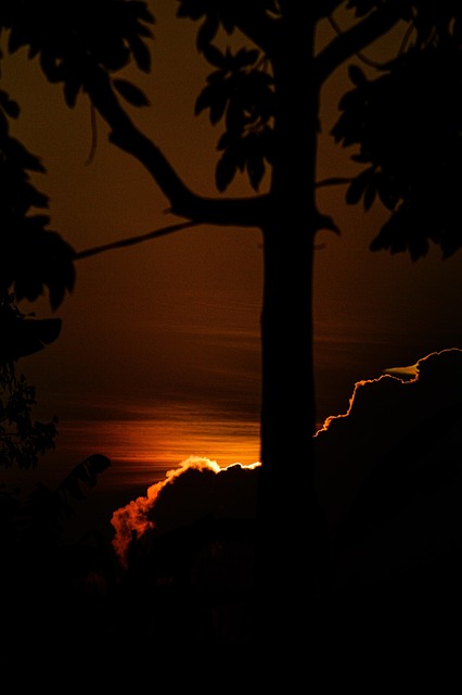 Free Sunset Nature photo and picture