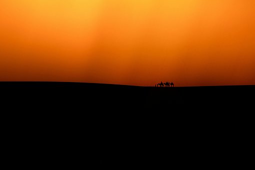 Free Camel Caravan photo and picture