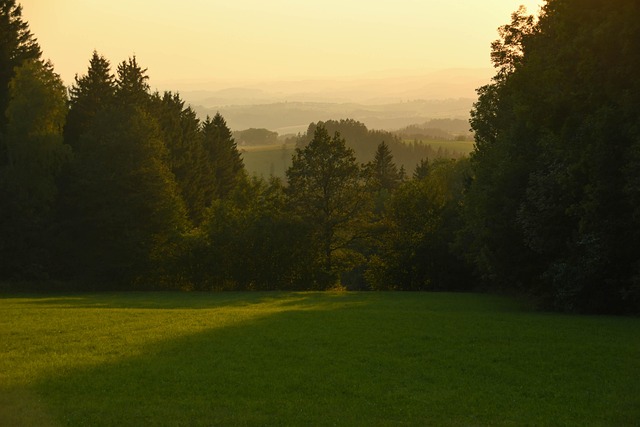 Free Sunset Evening Atmosphere photo and picture
