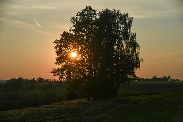 Free Sunset Evening Atmosphere photo and picture