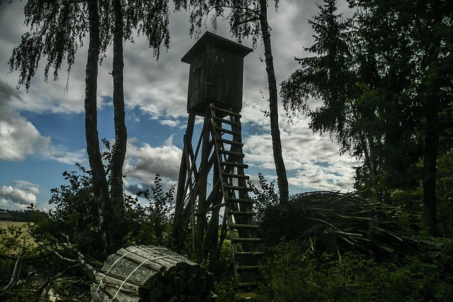 Free Hunt Nature photo and picture