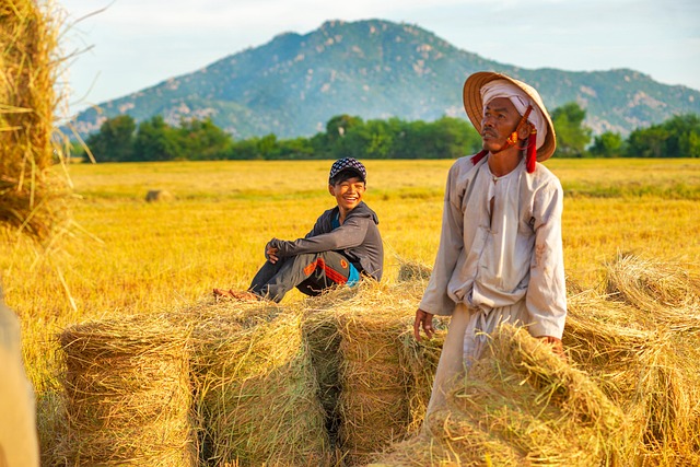 Vietnam, Natur, Sommer, Religion, Baum