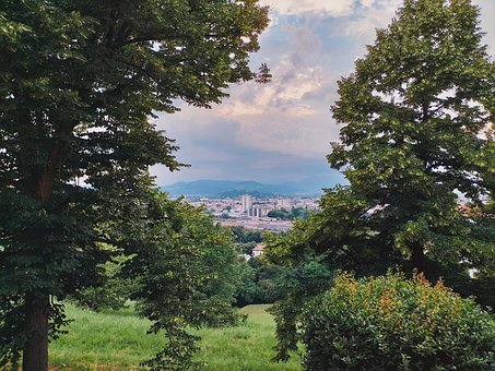 Free Trees Day photo and picture