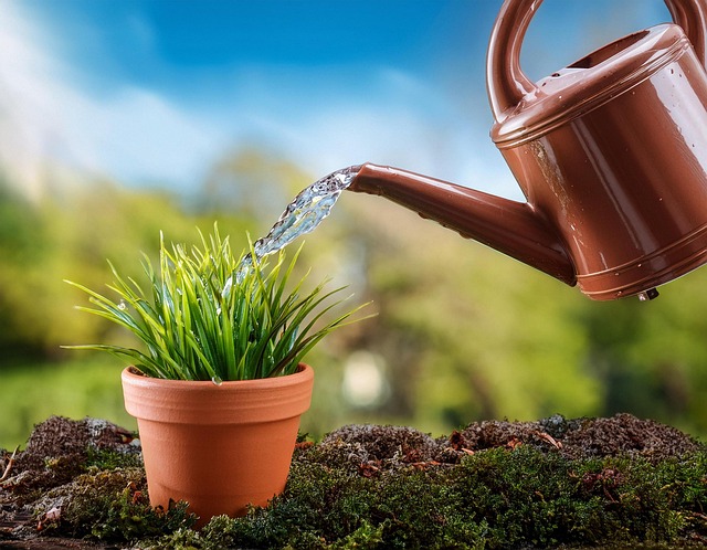 Download free HD stock image of Ai Generated Watering Can Free ai generated watering can irrigation illustration