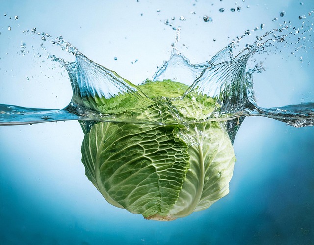 Free ai generated cabbage vegetables illustration