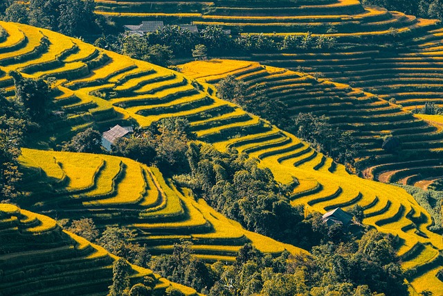 俄国防部发布战况，打击多地乌军设施！意大利等国宣布驱逐俄外交官，泽连斯基：与普京的会面很可能不会进行