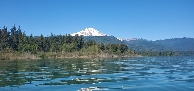 Mt Bäcker, Bäckersee, Washington, Bäume