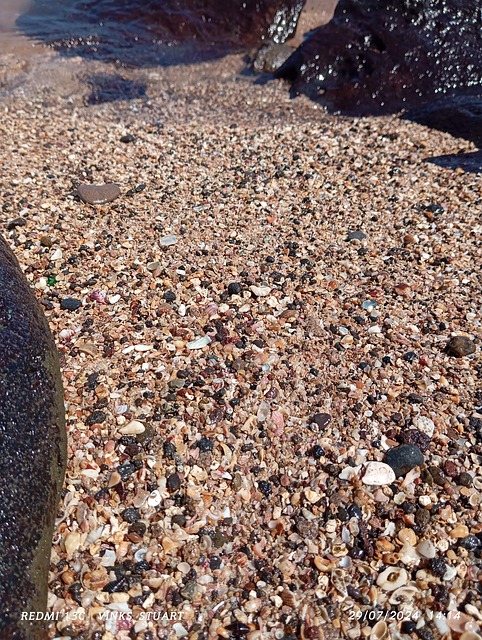 Free Sand Beach photo and picture