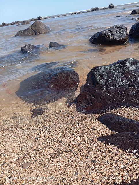Free Sand Beach photo and picture