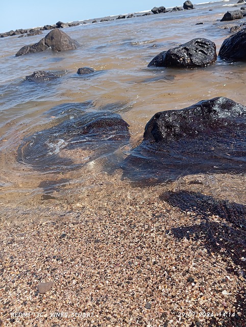 Free Sand Beach photo and picture