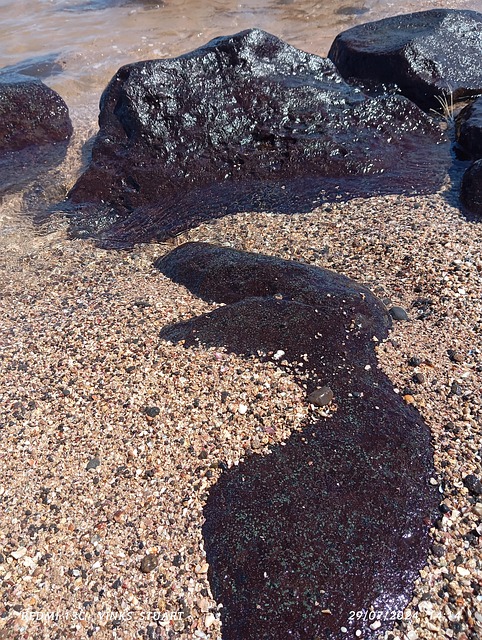Free Sand Beach photo and picture