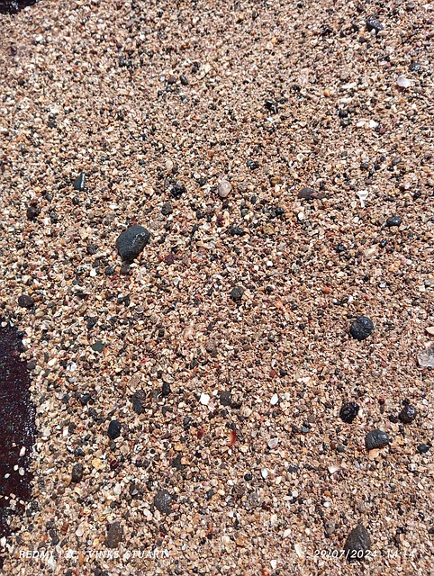 Free Sand Beach photo and picture