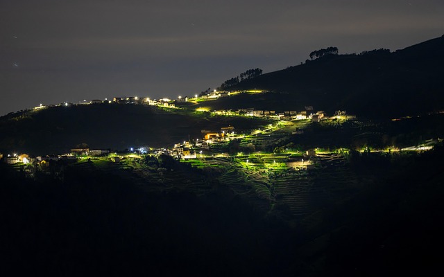 Nacht, Natuur, Wijngaard