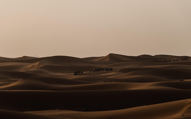 Woestijn, Zand, Duin, Landschap, Natuur