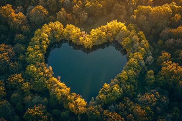 Free ai generated heart lake illustration