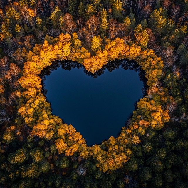 Free ai generated heart lake illustration
