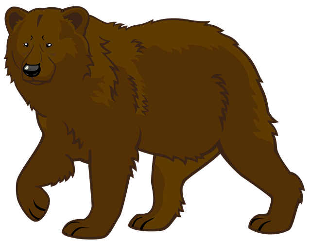 Bär, Natur, Brown, Tier, Grimmig