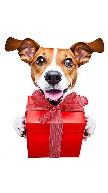 Hund, Geschenk, Weihnachten, Ferien