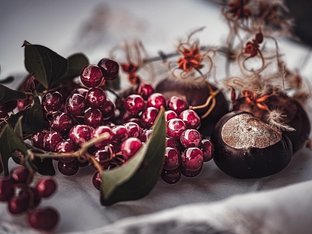 Free Chestnuts Fruits photo and picture