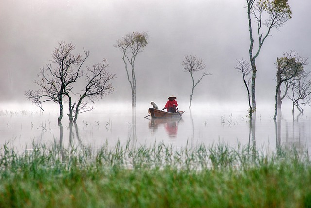 Vietnam, Angeln, Fischer, Nebel, Natur