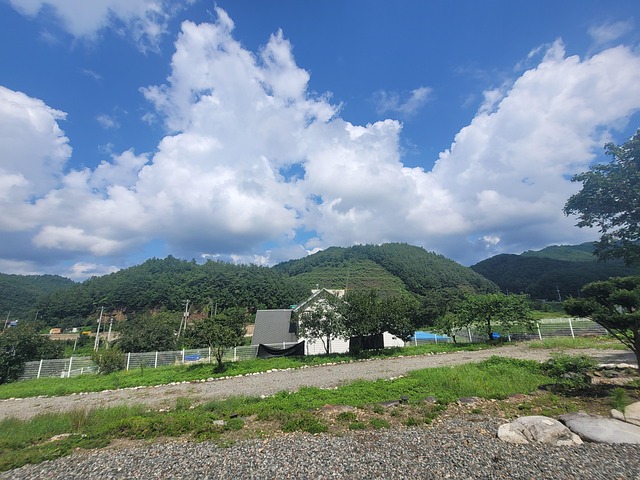 Free Nature Blue Sky photo and picture