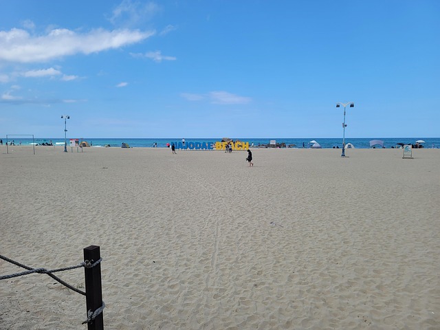 Free Hajodae Ocean photo and picture