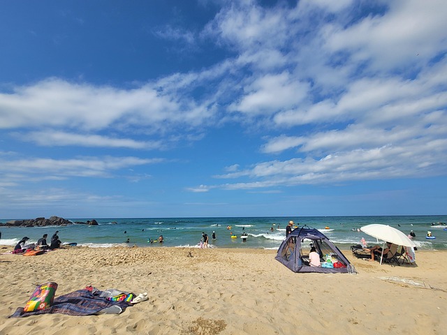 Free Beach East Sea photo and picture