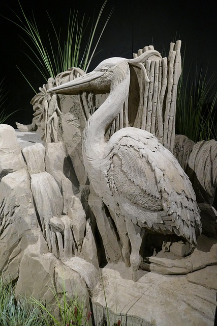Free Pelican Bird photo and picture