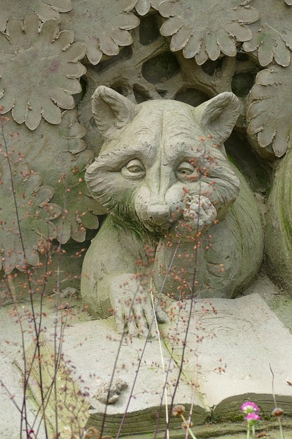 Fuchs, Säugetier, Lesen, Märchen