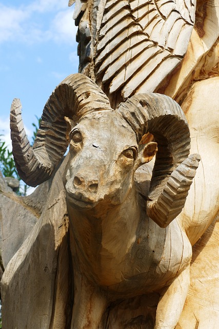 Free Goat Ram photo and picture