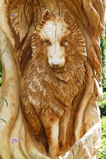 Free Wolf Mammal photo and picture