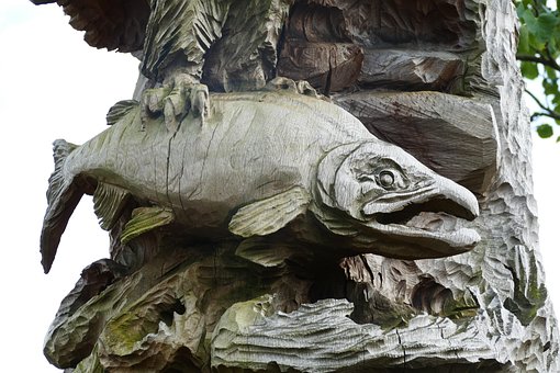 Free Salmon Fish photo and picture