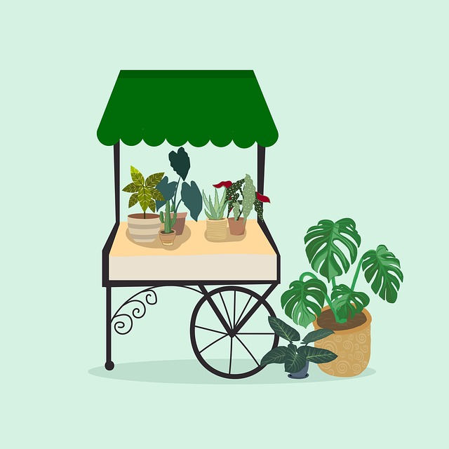 Free flowers plants nature illustration