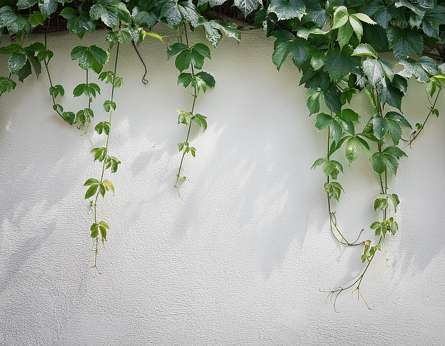 Free ai generated leaves vines illustration
