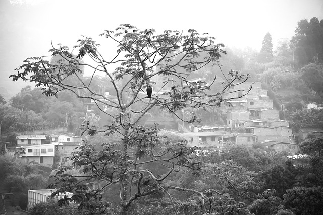 Medellin, Colombia, Landskab, Natur