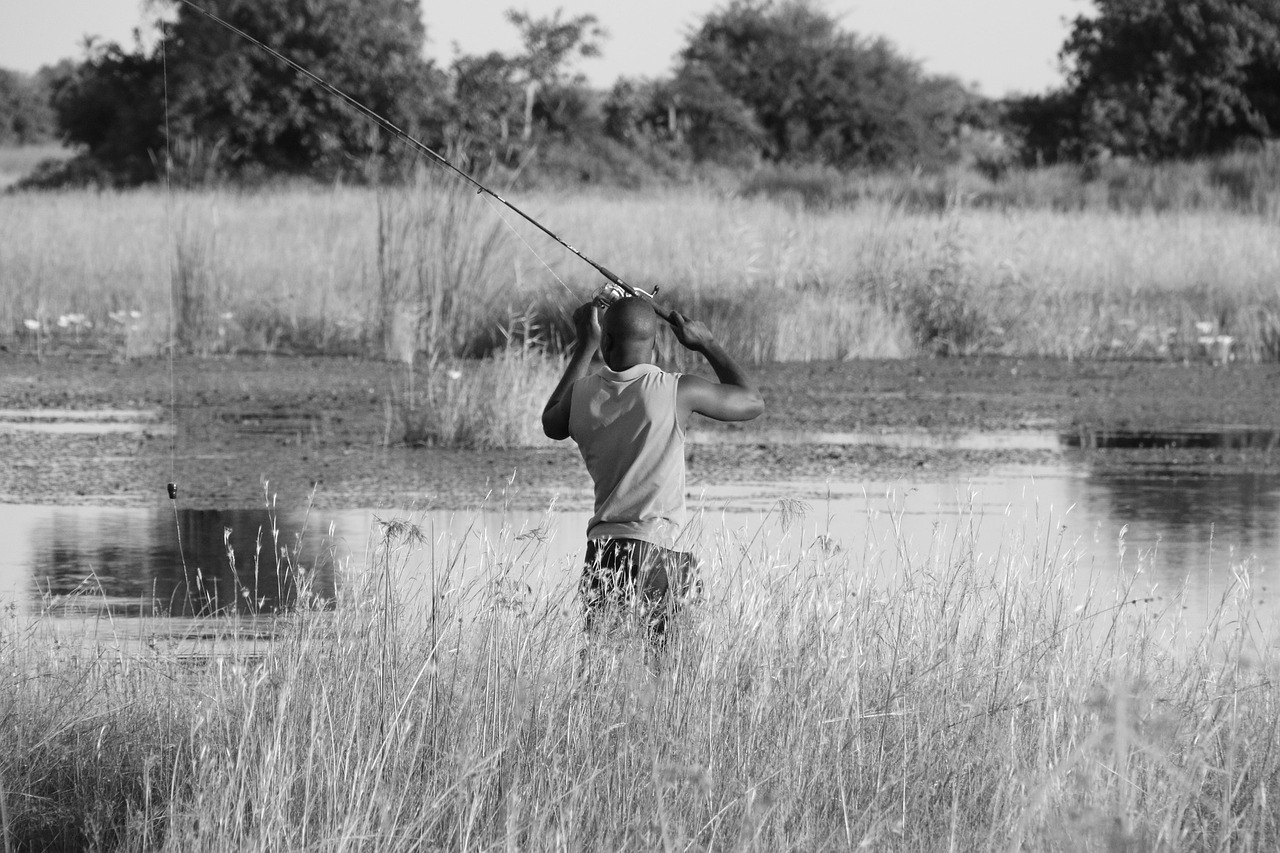 Picter Finhing Fishing Nature Fisherman - Free photo on Pixabay - Pixabay
