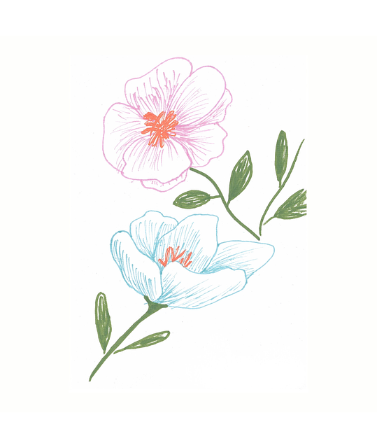 Frühlingsblumen, Blumen, Pinke Blume