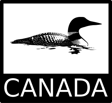Free Canada Loon vector and picture