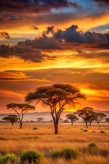 Download free HD stock image of Ai Generated Sunset Free ai generated sunset savanna illustration