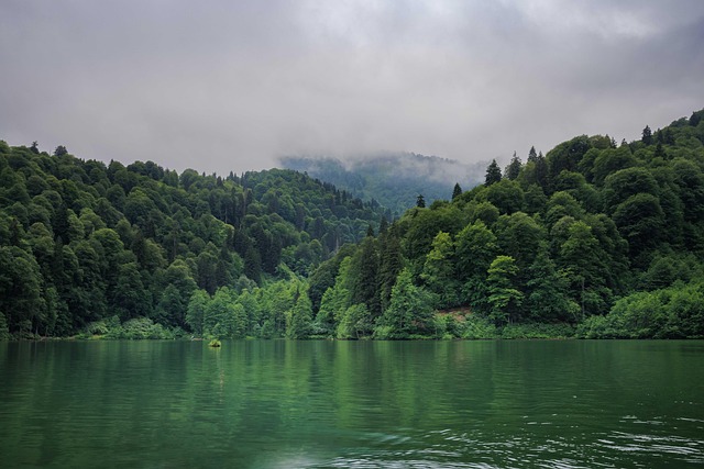 Free Landscape Nature photo and picture