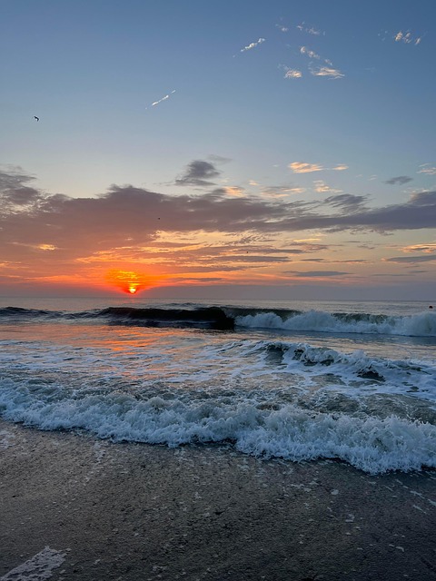 Free Ocean Sea photo and picture