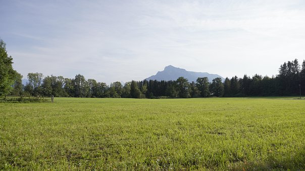 Free Meadow Landscape photo and picture